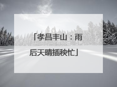 孝昌丰山：雨后天晴插秧忙