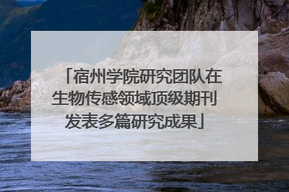 宿州学院研究团队在生物传感领域顶级期刊发表多篇研究成果