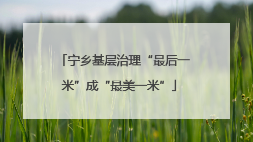 宁乡基层治理“最后一米”成“最美一米”