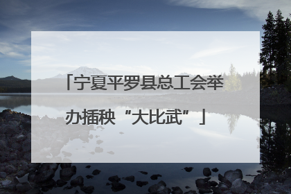 宁夏平罗县总工会举办插秧“大比武”