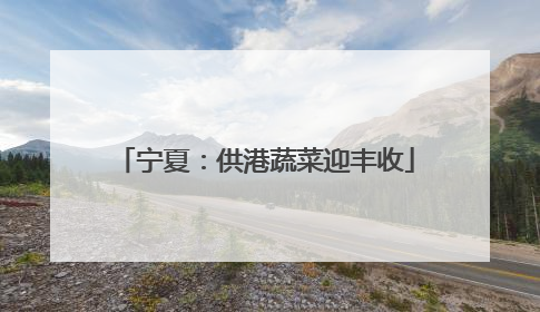 宁夏：供港蔬菜迎丰收
