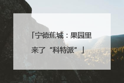 宁德蕉城：果园里来了“科特派”