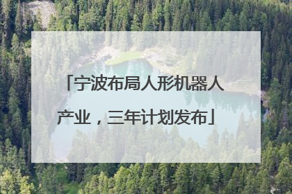 宁波布局人形机器人产业，三年计划发布