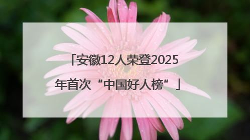 安徽12人荣登2025年首次“中国好人榜”