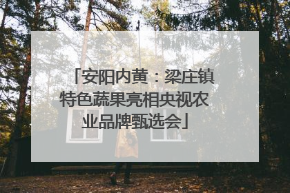 安阳内黄：梁庄镇特色蔬果亮相央视农业品牌甄选会
