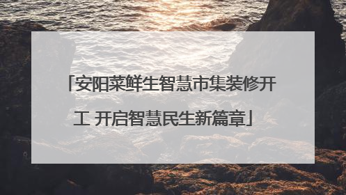 安阳菜鲜生智慧市集装修开工 开启智慧民生新篇章