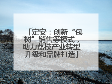 定安：创新“包树”销售等模式，助力荔枝产业转型升级和品牌打造