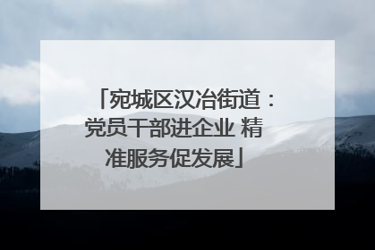宛城区汉冶街道：党员干部进企业 精准服务促发展