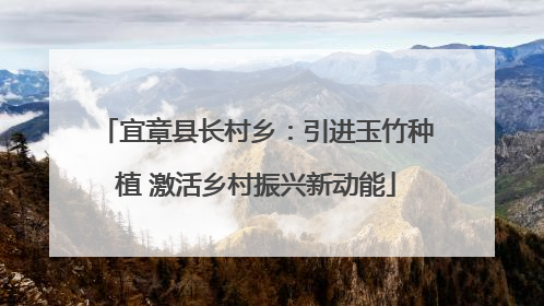 宜章县长村乡：引进玉竹种植 激活乡村振兴新动能