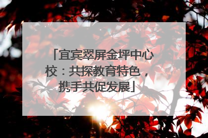 宜宾翠屏金坪中心校：共探教育特色，携手共促发展