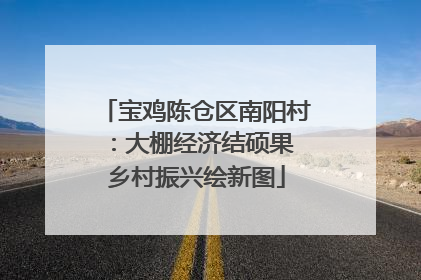 宝鸡陈仓区南阳村：大棚经济结硕果 乡村振兴绘新图