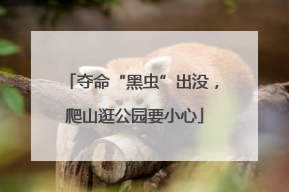 夺命“黑虫”出没，爬山逛公园要小心