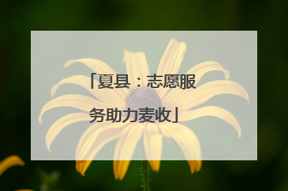 夏县：志愿服务助力麦收