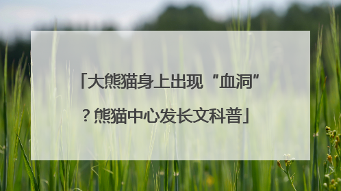 大熊猫身上出现“血洞”？熊猫中心发长文科普