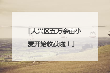 大兴区五万余亩小麦开始收获啦！
