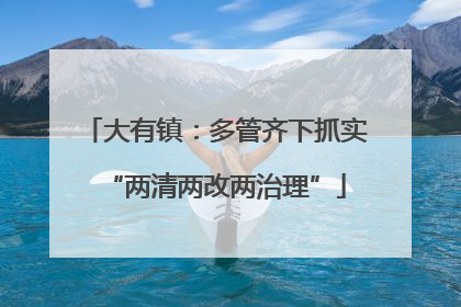 大有镇：多管齐下抓实“两清两改两治理”