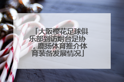 大阪樱花足球俱乐部到访烟台足协，鹿扬体育推介体育装备发展情况