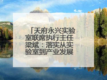 天府永兴实验室联席执行主任梁斌：落实从实验室到产业发展的最后一公里