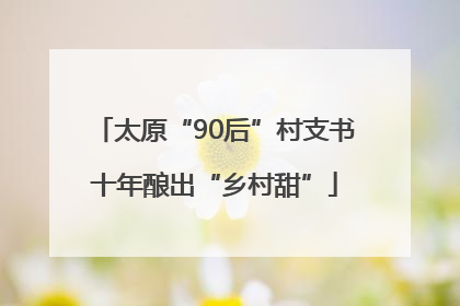 太原“90后”村支书十年酿出“乡村甜”