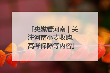 央媒看河南｜关注河南小麦收购、高考保障等内容