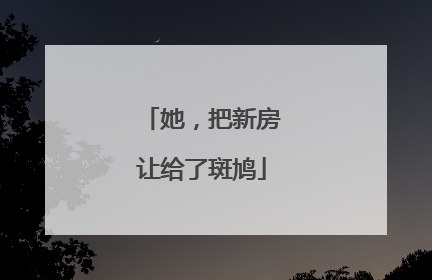 她，把新房让给了斑鸠