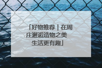 好物推荐｜在周庄邂逅造物之美 生活更有趣