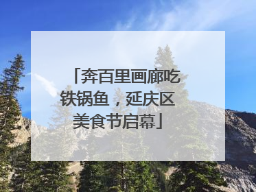 奔百里画廊吃铁锅鱼，延庆区美食节启幕