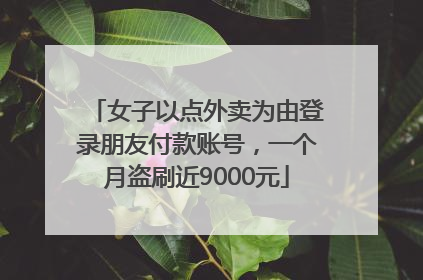 女子以点外卖为由登录朋友付款账号，一个月盗刷近9000元