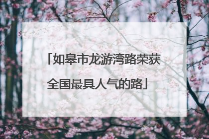 如皋市龙游湾路荣获全国最具人气的路