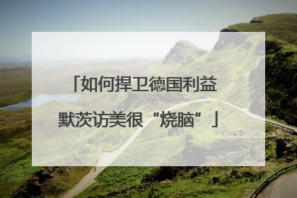 如何捍卫德国利益 默茨访美很“烧脑”