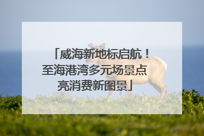 威海新地标启航！至海港湾多元场景点亮消费新图景