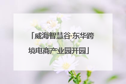威海智慧谷·东华跨境电商产业园开园