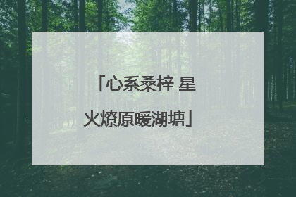 心系桑梓 星火燎原暖湖塘