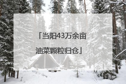 当阳43万余亩油菜颗粒归仓