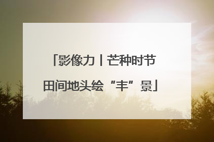 影像力丨芒种时节 田间地头绘“丰”景