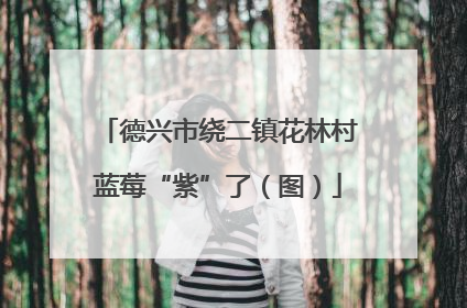 德兴市绕二镇花林村蓝莓“紫”了（图）