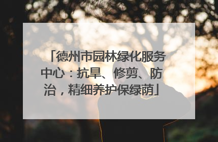 德州市园林绿化服务中心：抗旱、修剪、防治，精细养护保绿荫