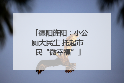 德阳旌阳：小公厕大民生 托起市民“微幸福”
