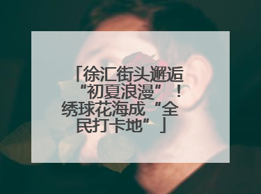 徐汇街头邂逅“初夏浪漫”！绣球花海成“全民打卡地”