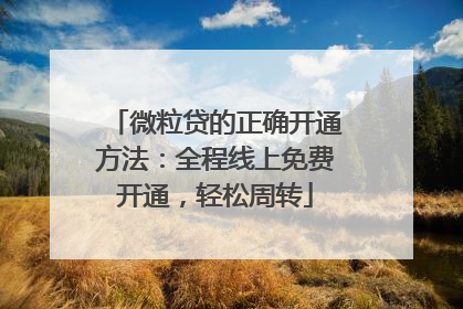 微粒贷的正确开通方法：全程线上免费开通，轻松周转