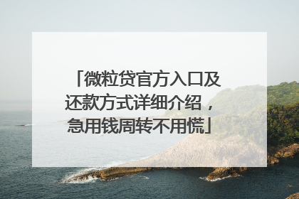 微粒贷官方入口及还款方式详细介绍，急用钱周转不用慌