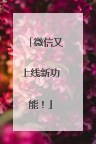 微信又上线新功能！