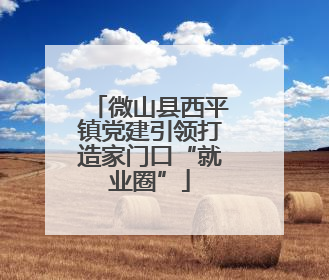 微山县西平镇党建引领打造家门口“就业圈”