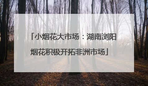 小烟花大市场：湖南浏阳烟花积极开拓非洲市场