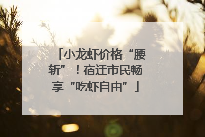 小龙虾价格“腰斩”！宿迁市民畅享“吃虾自由”