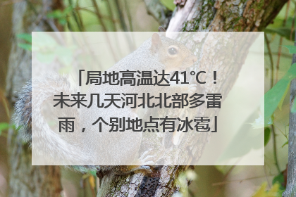 局地高温达41℃！未来几天河北北部多雷雨，个别地点有冰雹