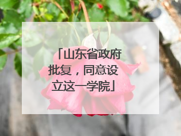 山东省政府批复，同意设立这一学院