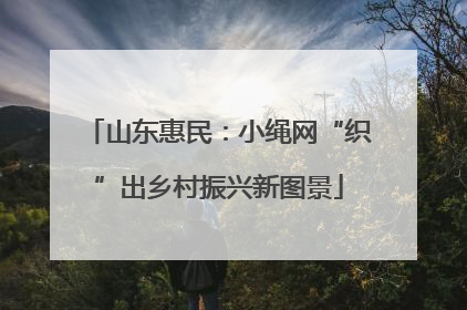 山东惠民：小绳网“织”出乡村振兴新图景