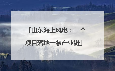 山东海上风电：一个项目落地一条产业链