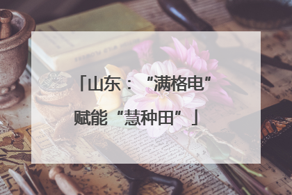 山东：“满格电”赋能“慧种田”